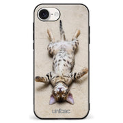 iPhone 17e kissa suojakuoret - Relaxing Cat